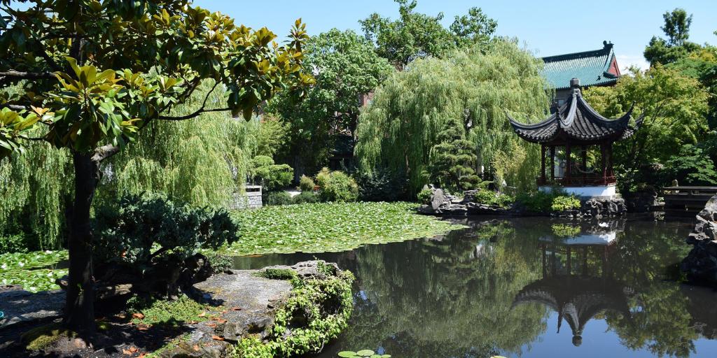 Be careful what you water your dreams with. Water them with worry and fear and you will produce weeds that choke the life from your dream. Water them with optimism and solutions and you will cultivate success. — Lao Tzu