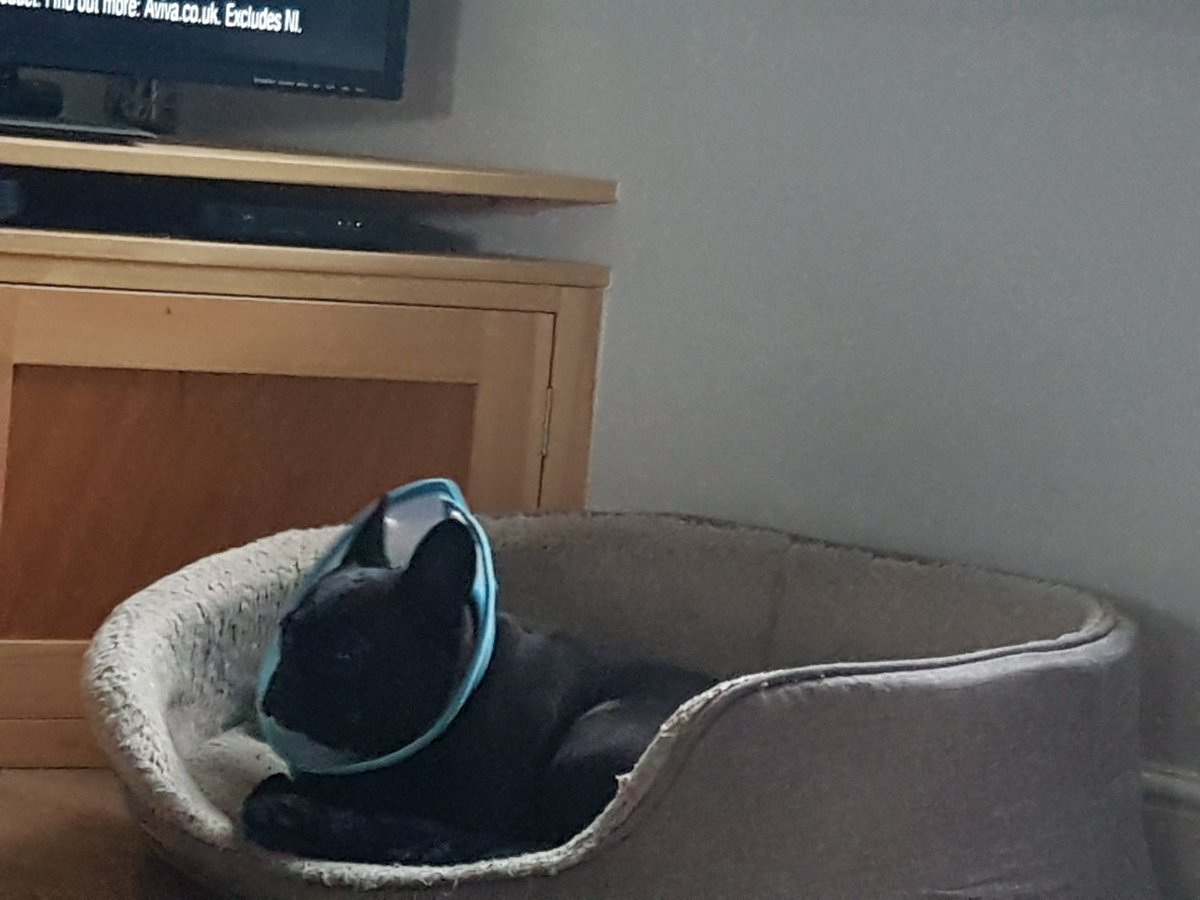 Retired Pd Teal tweet media