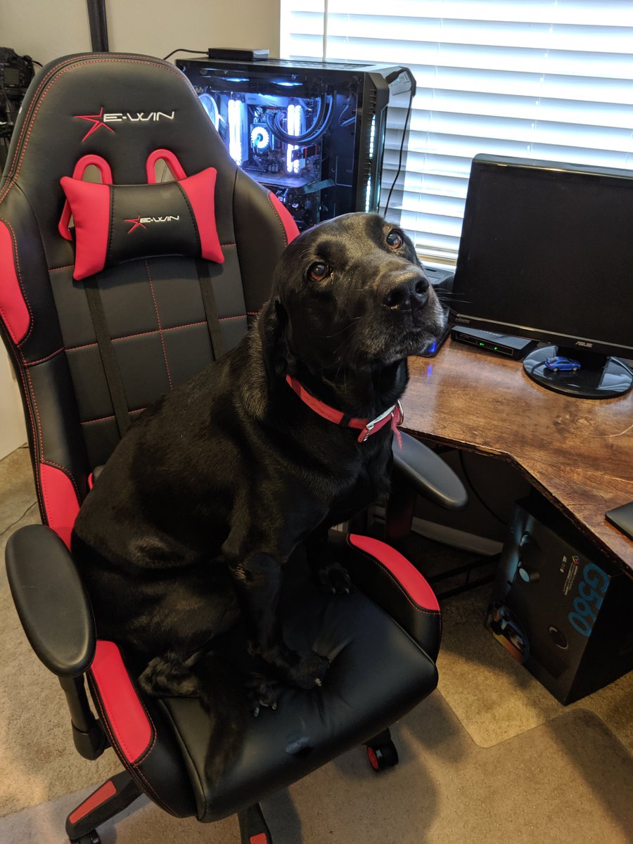 GND Tech (@gndtech) on Twitter photo Our official GND Doggo approved the Calling Series chair by <a href="/EwinRacing/">EwinRacing</a>! #gamingChair #pcgaming #puppers Our official GND Doggo approved the Calling Series chair by <a href="/EwinRacing/">EwinRacing</a>! #gamingChair #pcgaming #puppers