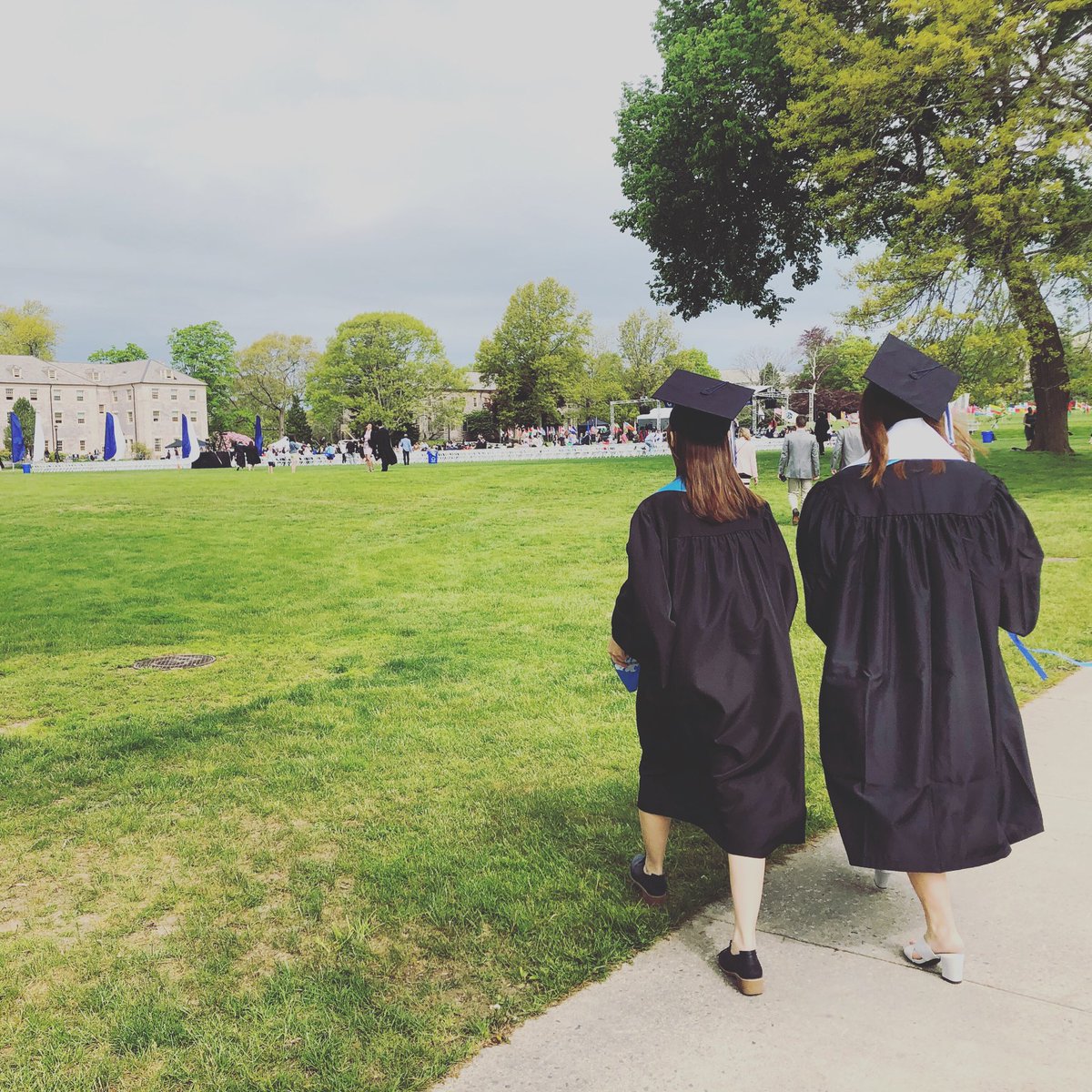 ConnCollege's tweet photo. It's a beautiful day to #graduate. 🎓🐪☀️ #conncoll2019 #Commencement #graduation https://t.co/Spy3AX29DC