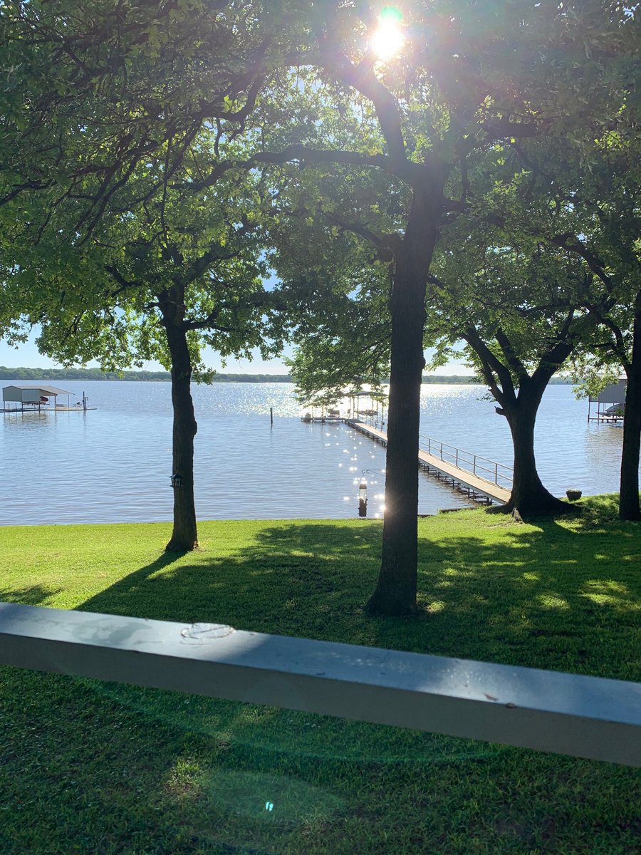 Philip Webb tweet media