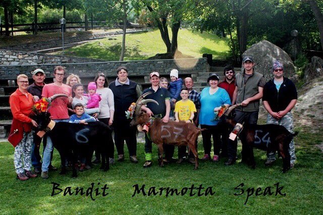 Association BATAILLES de Chevres/ Fenis 

BANDIT , MARMOTTA e SPEAK conquistano  i Boschet di Fenis 

Complimenti a tutti gli allevatori presenti 

Arrivederci domenica prossima  a Verrès 

facebook.com/10000199236439…