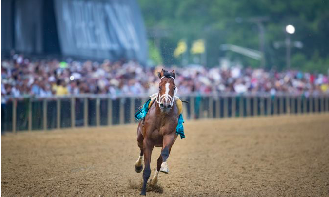 betonthelook's tweet photo. #BelmontStakes From @betonthelook we do not doubt a quick Grade Victory to this horse ... the reports of this trainer say it @GDS_Racing #betluckyhorse #Bodeexpress https://t.co/UYm9vTJYX9