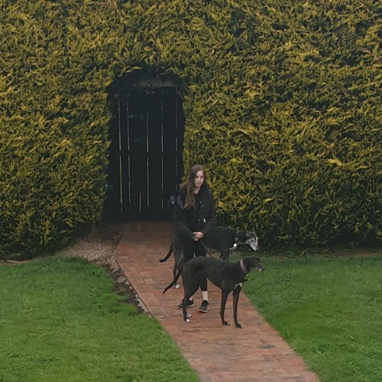 wee_linds's tweet photo. @mattocks_ps Eden taking the dogs for a walk on Saturday. #MM4Mattocks https://t.co/n6ctcb5aBl