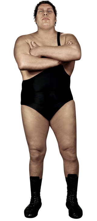 Happy 73rd Birthday To Andre the Giant  