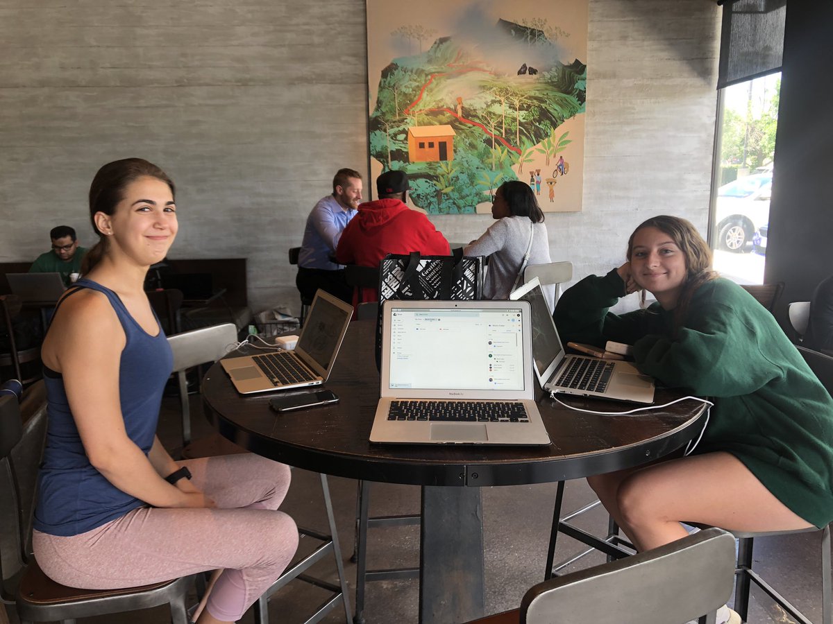 sophie novorr tweet media