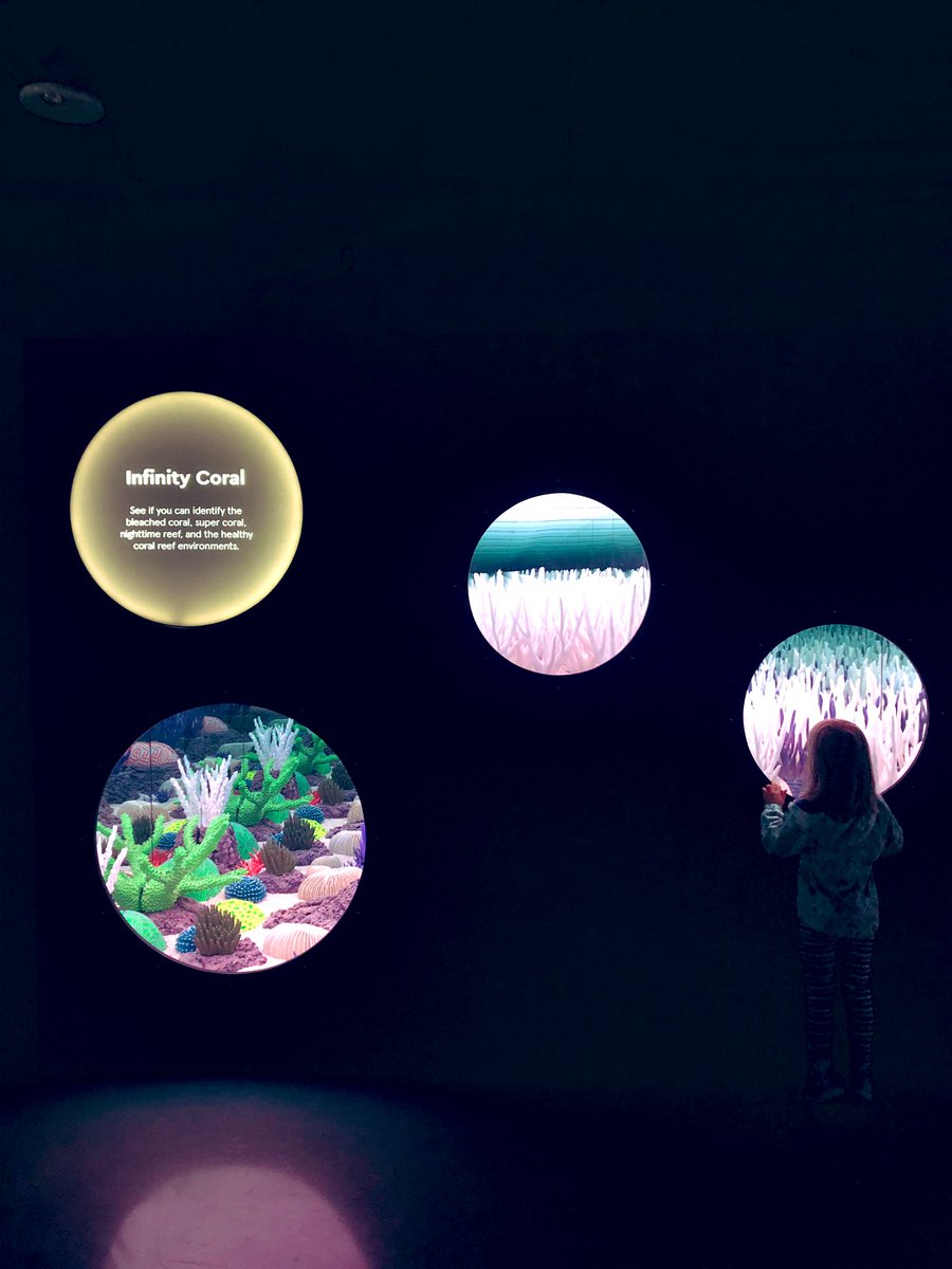 ReflectionsofRW's tweet photo. We are members of the @AquariumPacific and had the special privilege of seeing their new wing called #PacificVisions before it opens to the public! #aop20 #LosAngeles #SoCal https://t.co/ojM4C78gMN