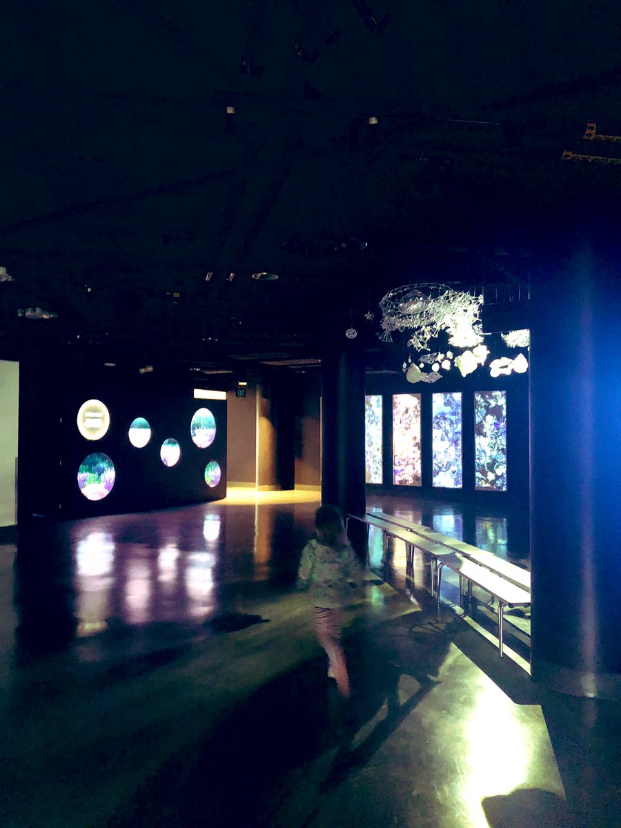 ReflectionsofRW's tweet photo. We are members of the @AquariumPacific and had the special privilege of seeing their new wing called #PacificVisions before it opens to the public! #aop20 #LosAngeles #SoCal https://t.co/ojM4C78gMN