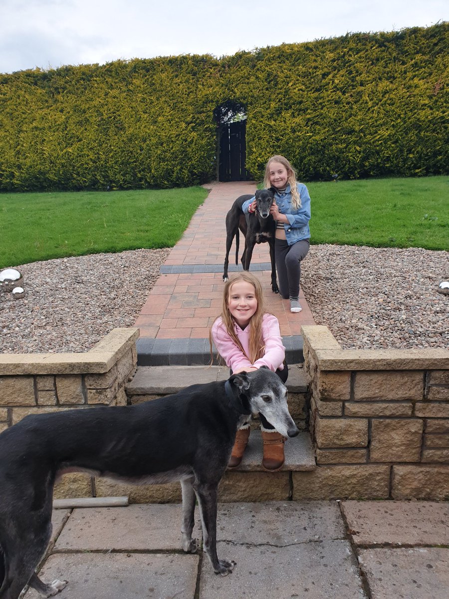 wee_linds's tweet photo. @mattocks_ps Jazzy &amp; Erin took the dogs for a run at the park this evening. #MM4Mattocks https://t.co/pbWi3SNavr