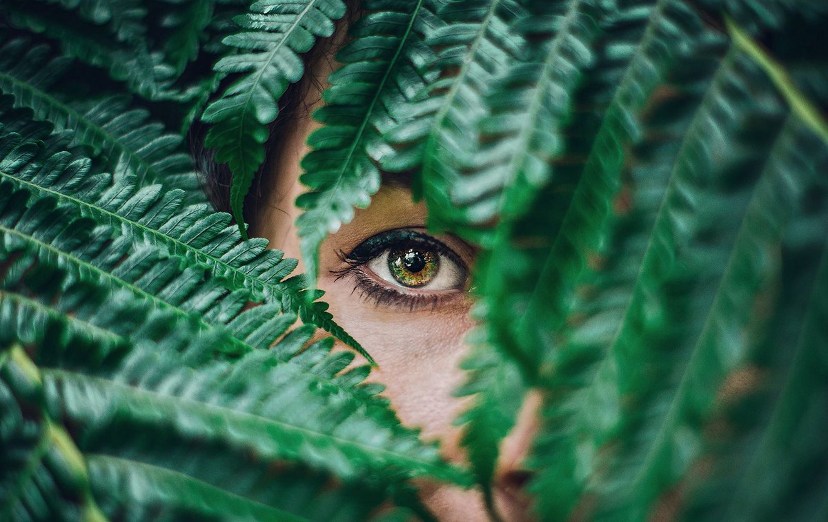 MessageControl tweet media