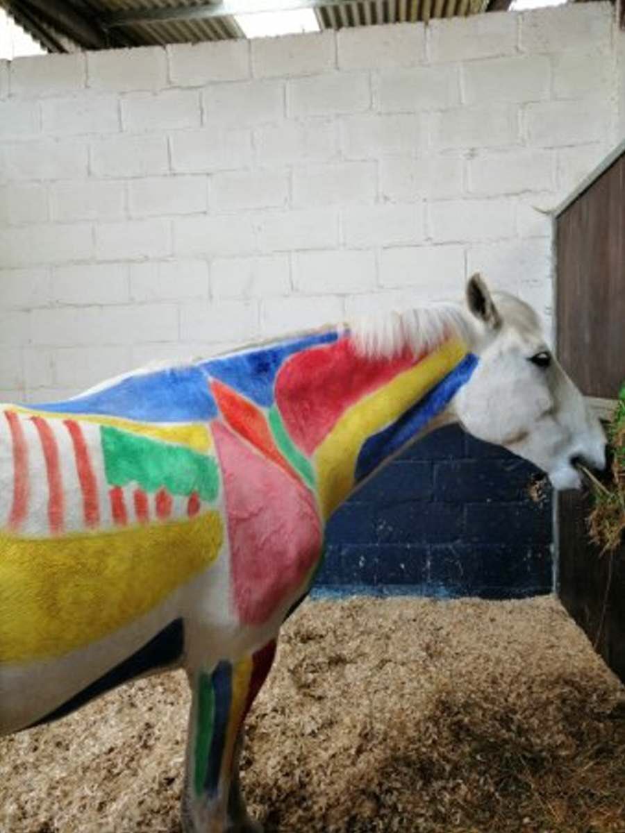 Horse painting? Don’t mind if we do! So many things to see & do at our #BrinsburyShow! #Horses #CountryShow