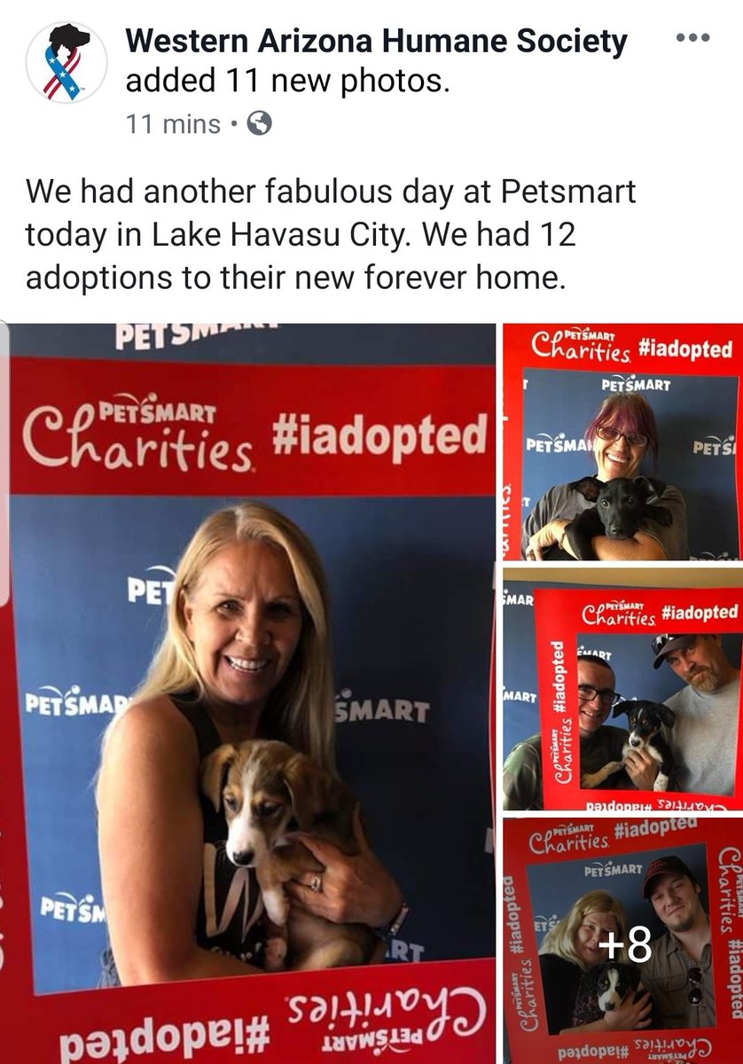 PetSmart1902Havasu tweet media