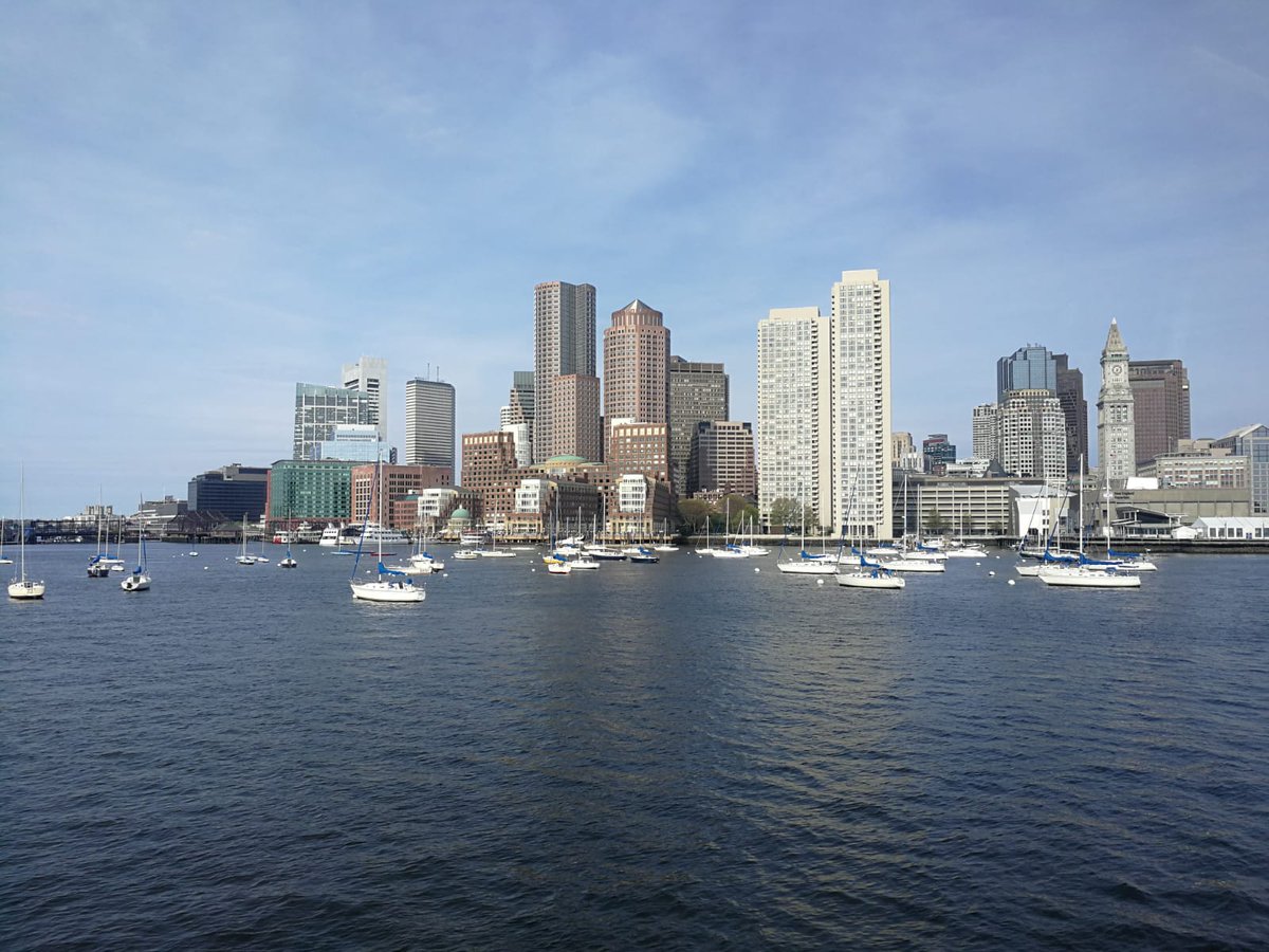 🐳 Wale watching road in Boston Bay #INTA2019