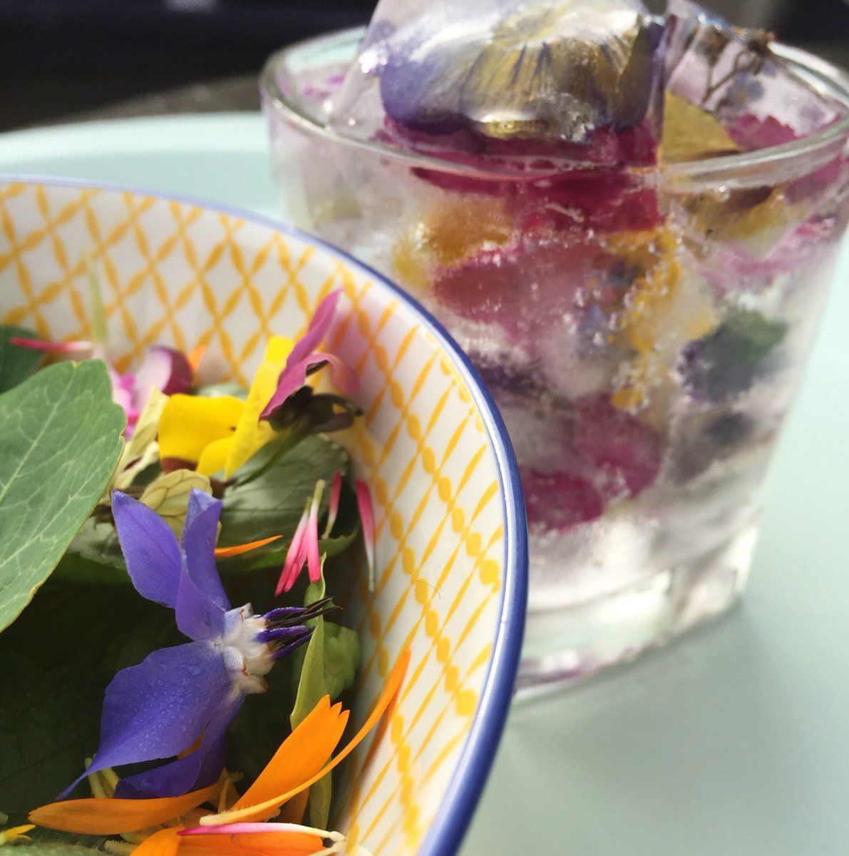 GrowCreateJoy's tweet photo. Donโt let your salads and drinks be boring ๐ธโจ๐โโ๏ธ๐โโ๏ธ๐คฉ
#edibleflowers #flowerparty #flowertheme #flowersalad #flowerice #flowerfood #weddingcake #partycake #culinaryart #celebrationcake #familytime #grownnotflown #mixology #cocktails #mocktails https://t.co/5DjsryWNkP