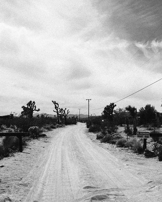 Alex_Faimali's tweet photo. A few years ago, I watched a documental (  at @ineditfestival ) called American Valhalla about @iggypopofficial , Josh Homme @queensofthestoneage and @matthelders from @arcticmonkeys recording an album and then touring together. To record the album, they… https://t.co/KAqVoyvo3N https://t.co/9sZXMg3U22