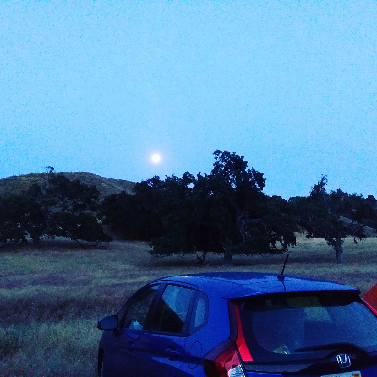 BadassVeganGirl's tweet photo. Moonrise at #borntorunultra Friday nite. Chilly but thankful for the #Westie Awesome start to the #weekend #ULTRA #trailrunning #borntorun #allwedoisrun #liveyouradventure #vanlife #gratitude #grateful #outdoors #getoutside #trails #training #running https://t.co/6ljcDyBZKS