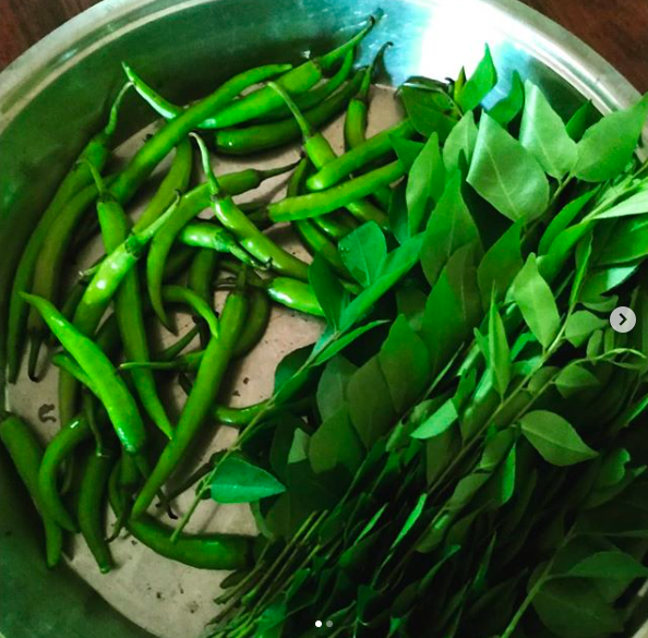 AAnubhava's tweet photo. Spicy life at Ahamanubhava @AAnubhava 
Homegrown curry leaves and green chillies ground up and sundried, fried in oil. A summer delicacy. 
#ahamanubhava #authentickeralacuisine #experiencekerala #natural #farminglife #myvillagekerala #wayanadfarmstay #wayanadtravel #spiceoflife https://t.co/2rx5qGGs5x