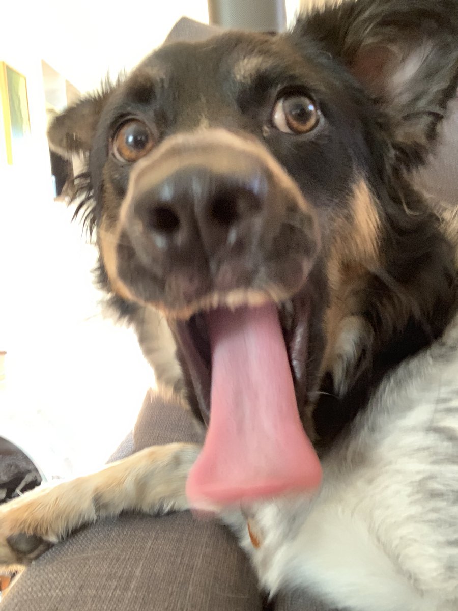 Ethan Nestor on Twitter "caption this…