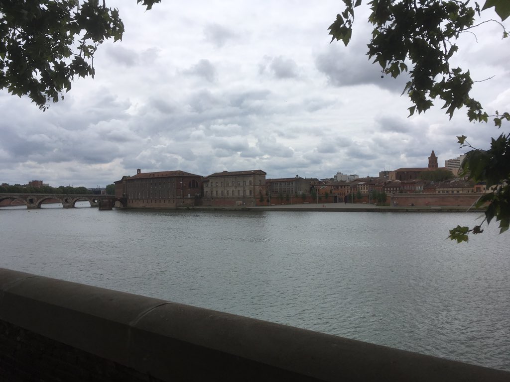 Dr Kris Sales tweet media