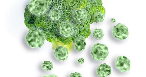 DivaMarietta's tweet image. Broccoli Can Stimulate Brain Regeneration, New Research Suggests      #braininmotion  #brainhealth #healthandwellness #vegetables #vegetarian  #wellneeded   #wellnesswednesday #wellbeingthroughcreativity #foodgram #cleaneating #nutritionneedsawareness    buff.ly/2W349Iq