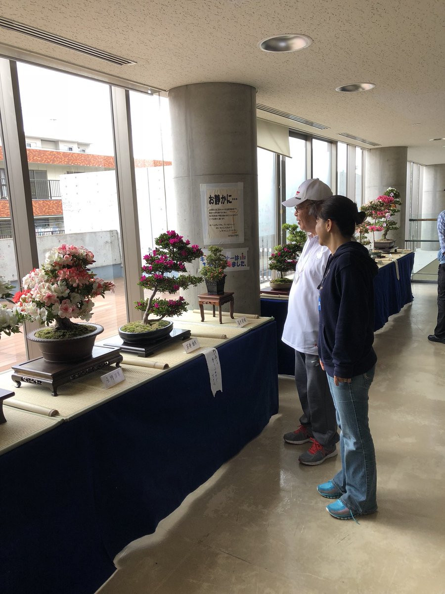 よしい由美浦安市議会議員 At Yumiyoshii Timeline The Visualized