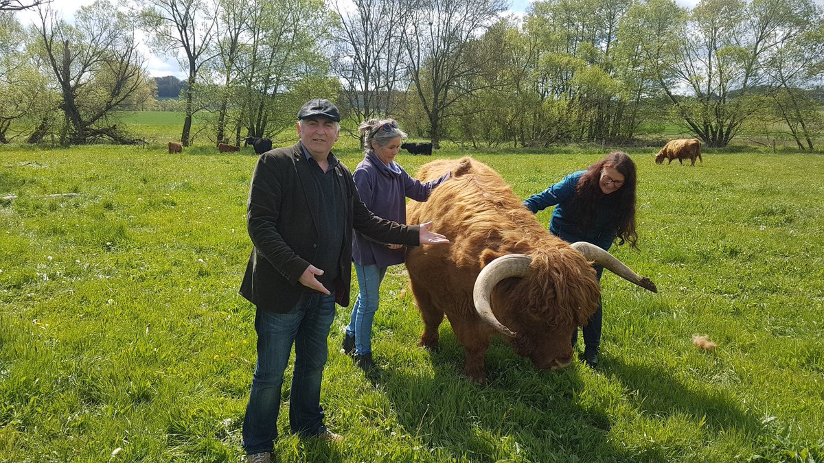 Martin Häusling looking at Zuchtbulle

Quelle: Twitter-Account von Martin Häusling