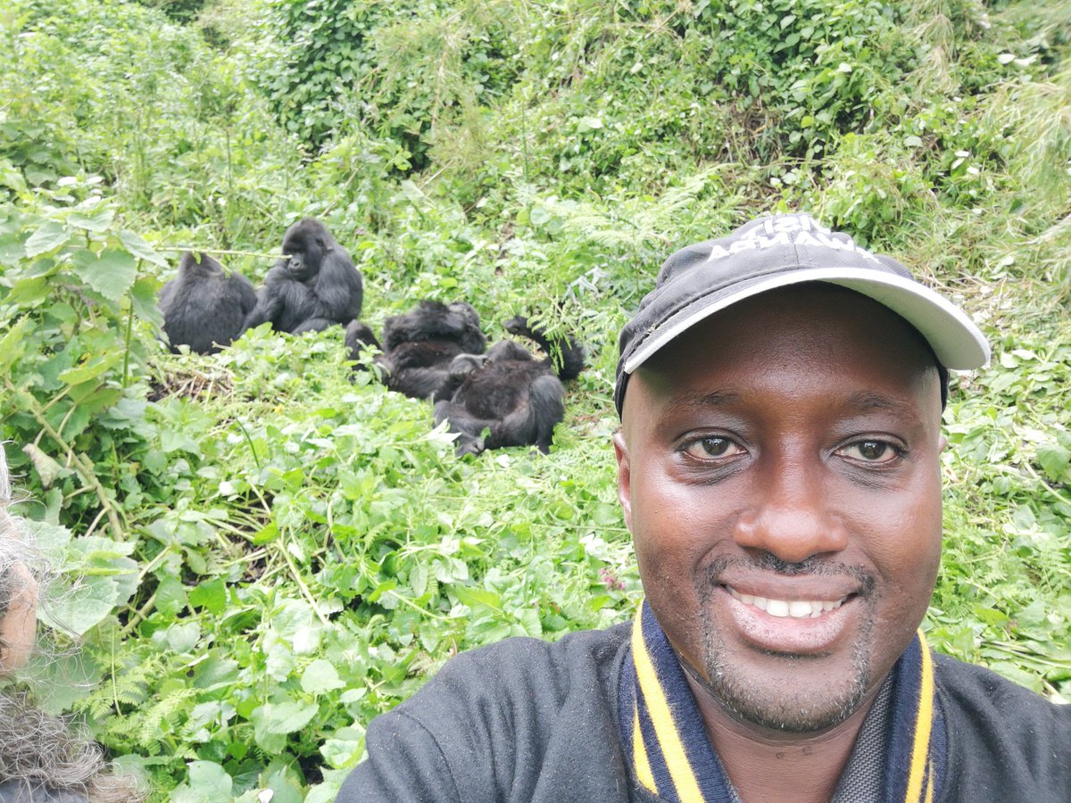 Olivier J.P. Nduhungirehe tweet media