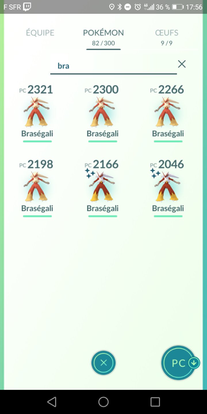 Brasegali Twitter Search Twitter