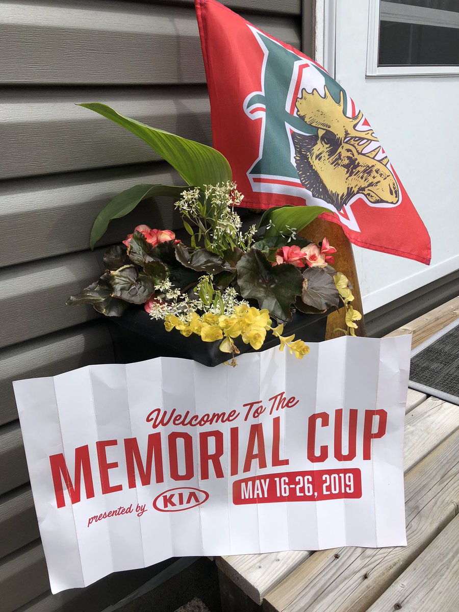 RisserNancy's tweet photo. Beautiful day in Moose country , to everyone visiting; enjoy downtown Halifax #MemorialCup @HFXMooseheads https://t.co/DJQGg8GXf5