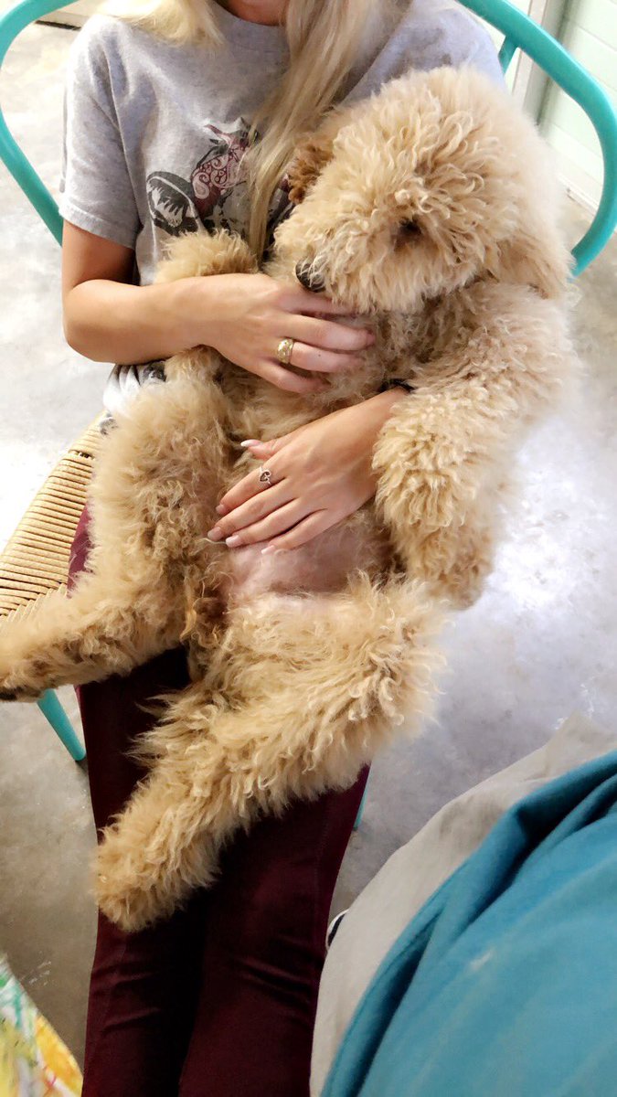 HaileeRenee01's tweet image. She’s such a human😂💗 #PrincessCharlie