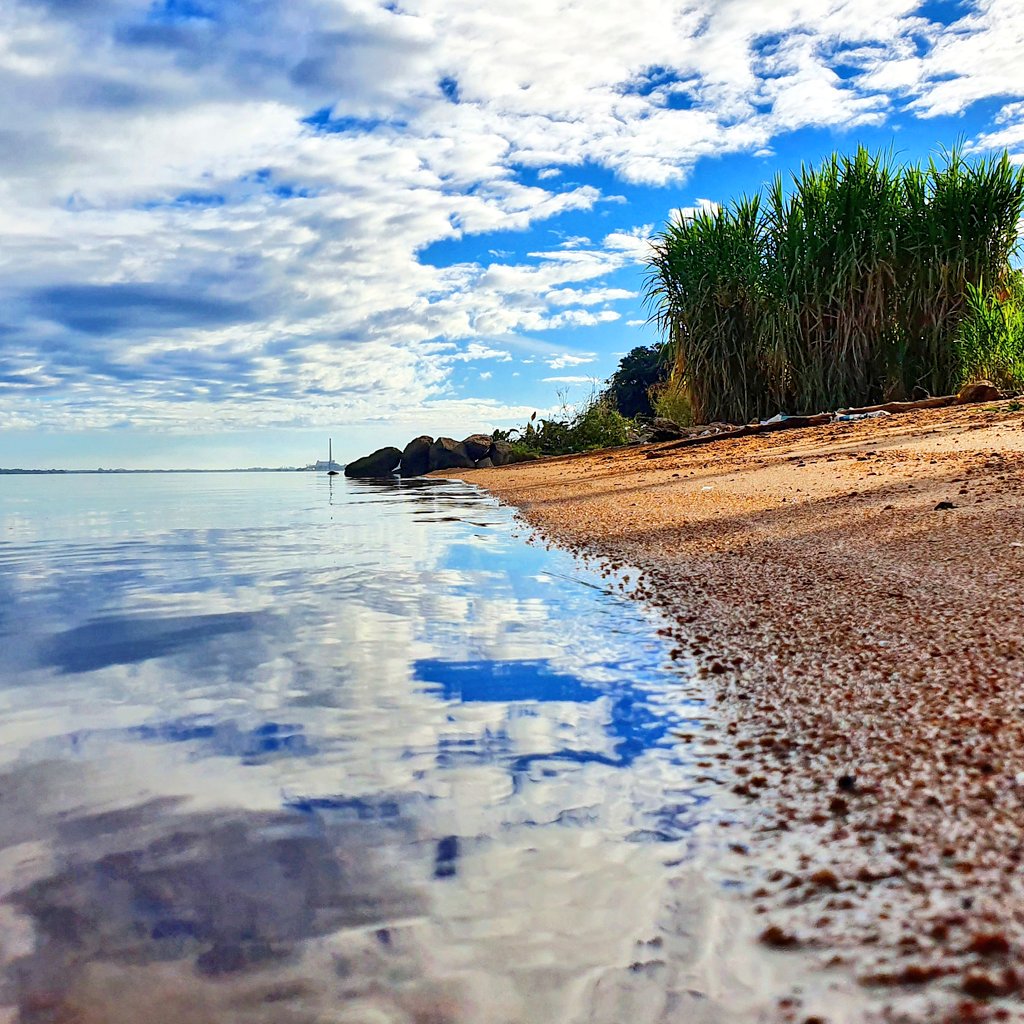 D68VZciXYAUihOU.jpg:large