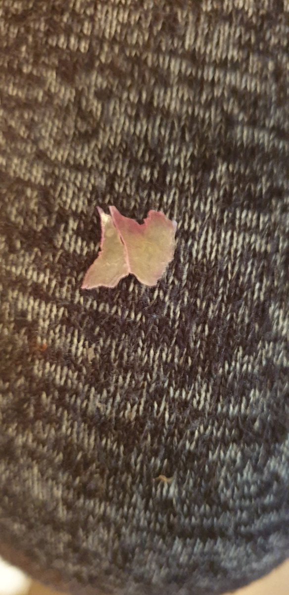 When you buy a pudding and you find some plastic inside it not happy and the peices even fit together. <a href="/AuntBessies/">Aunt Bessie's</a>