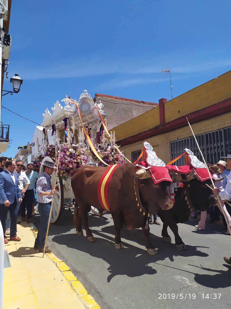 Día inolvidable para ir abriendo boca. Ésto está aquí ya. #RocíoLPDR19 #LaPueblaRociera @HdadRocioPuebla