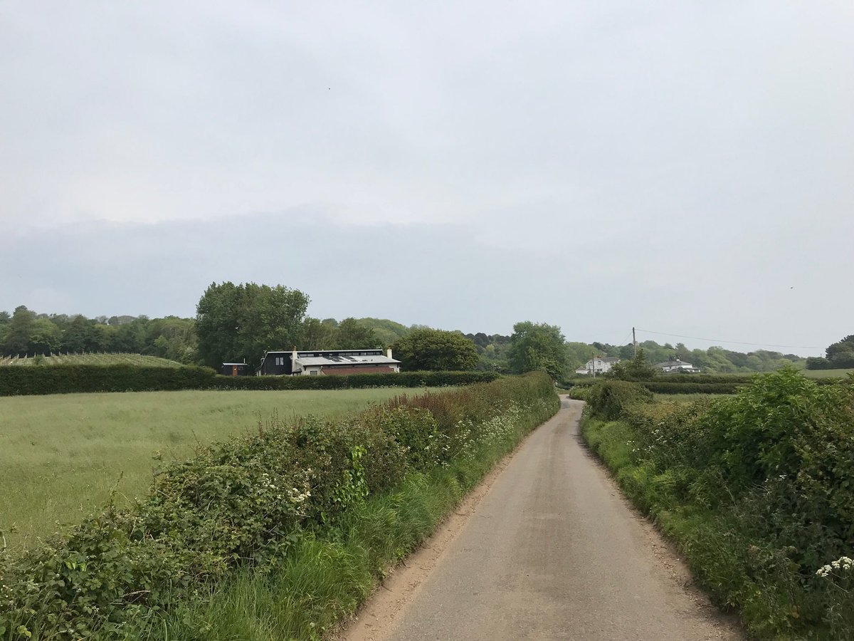SiriusStar1963's tweet photo. Sunday wanderings. #AdgestoneVineyard #RiverYar #Highlandcows #BurntHouseLane #Alverstone #IOW #PureIslandHappiness 💕 https://t.co/o0eoq5nugF