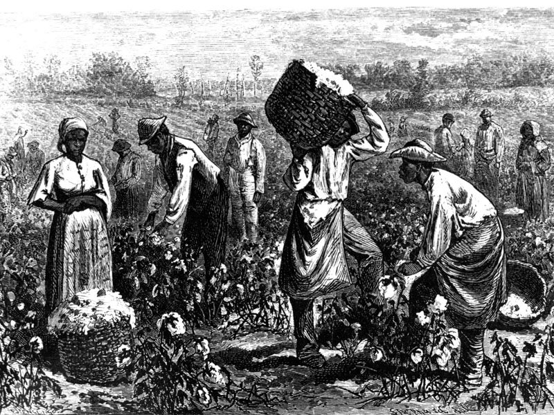 Рабство в сша. Плантации хлопка рабовладельцы Америка. Рабство в США 19 век на плантациях хлопка. Хлопковая плантация США 19 век. Рабы на плантациях США 19 век.
