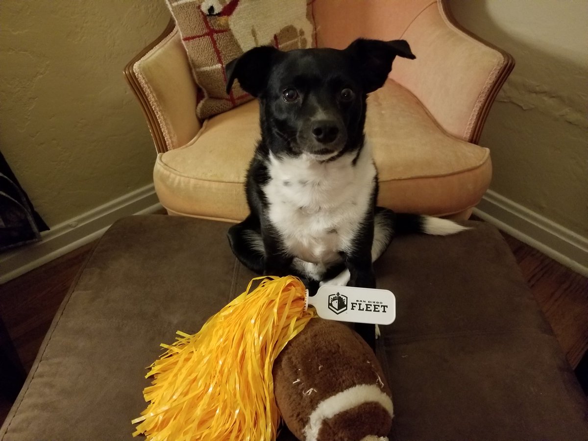 SDFleetBeat's tweet photo. @MrColeThompson #fleetpup https://t.co/EooVjtxRnT