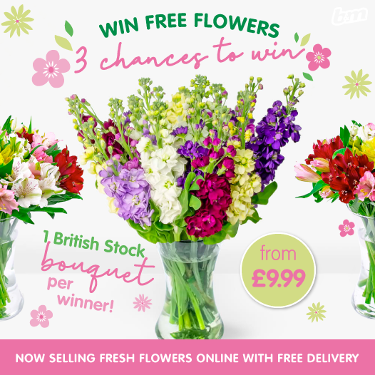 B&M Stores tweet media