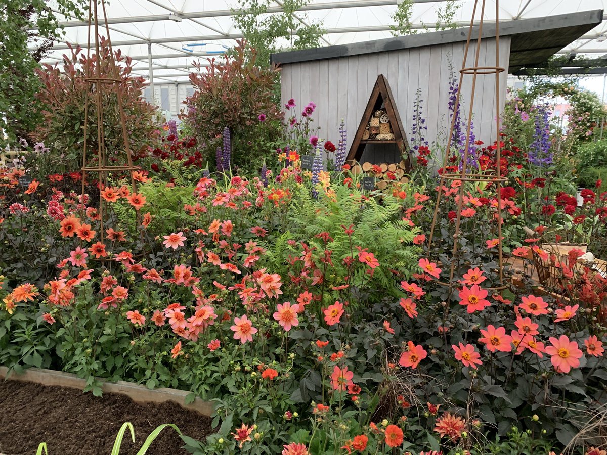 There’s only one more sleep until #RHSChelsea!

We'll be bringing you a first look at some of the show's highlights from tomorrow. Stay up to date with all the latest news from the show by following the #RHSChelsea hashtag. 

rhs.org.uk/chelsea