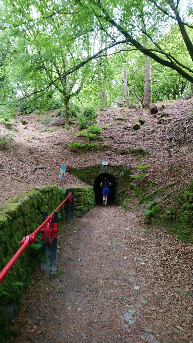 Running Beard 〓〓 tweet media