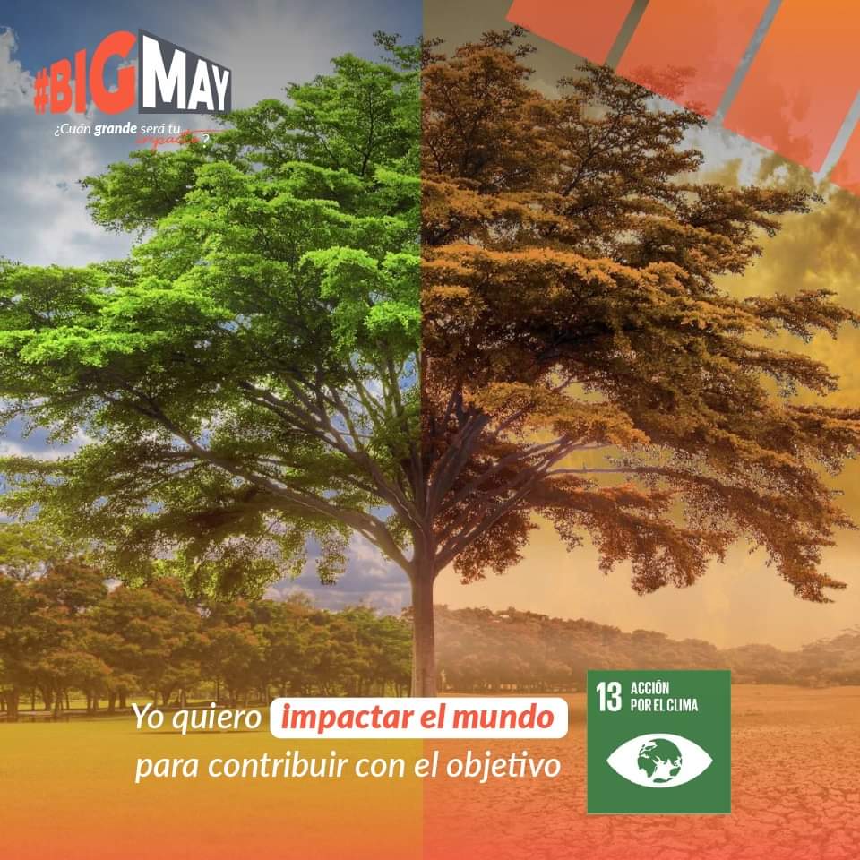AIESECPeru's tweet photo. En 2015, la ONU aprobó la Agenda 2030 sobre el Desarrollo Sostenible. La Agenda cuenta con 17 Objetivos de Desarrollo Sostenible, que incluyen desde la busqueda de una educación de calidad, acción por el clima, la igualdad de genero y la reducción de desigualdades. https://t.co/6eLBVTJCEu