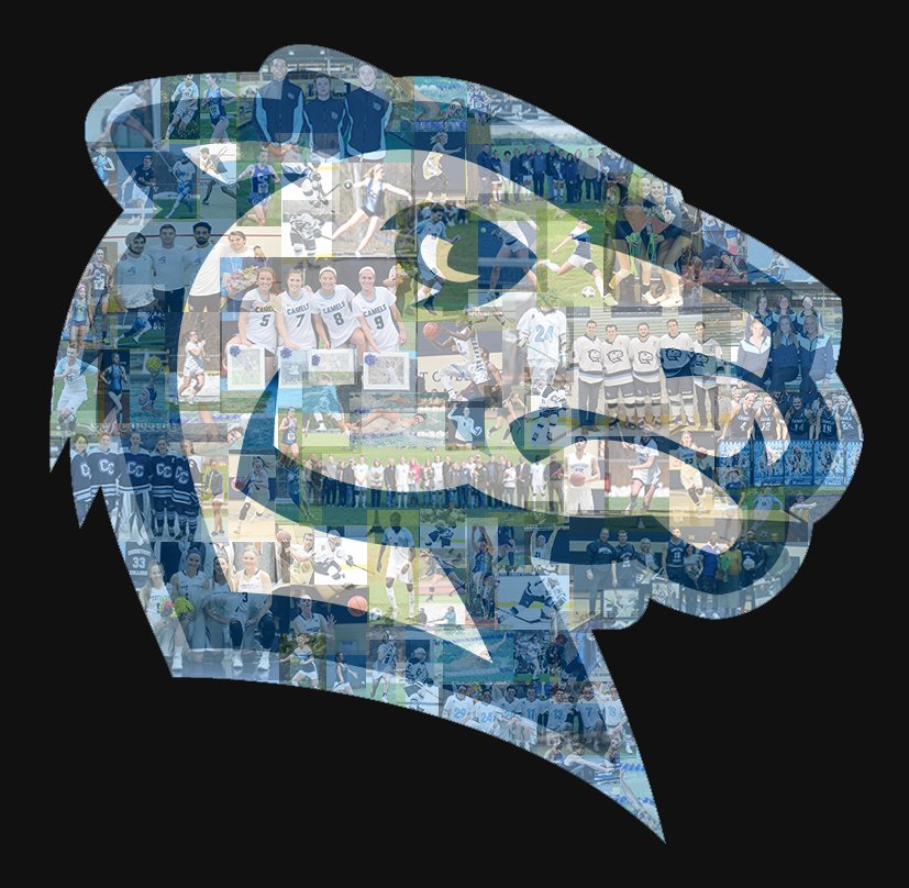 CamelAthletics's tweet photo. All part of the same picture 🖼. Congratulations class of 2️⃣0️⃣1️⃣9️⃣! #ConnColl2019 🐪🎓 https://t.co/HvxHYo64ir