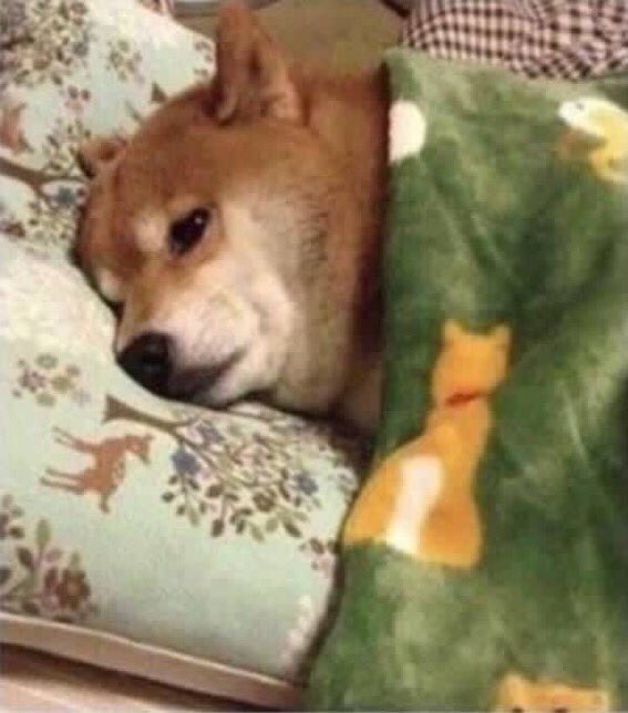 a moment of silence for things I’m suppose to be doing but I’m not doing