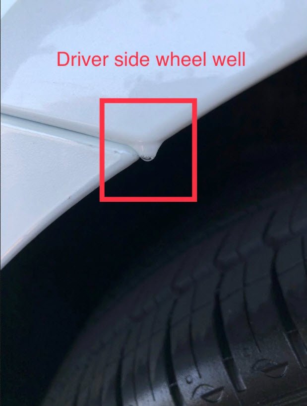 ShortingIsFun's tweet image. Some discussions on TMC about returns. My question is why would you accept this vehicle without first getting these paint issues repaired?

$TSLA #TeslaPaintIssues #TeslaDeliveryIssues