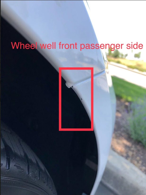 ShortingIsFun's tweet image. Some discussions on TMC about returns. My question is why would you accept this vehicle without first getting these paint issues repaired?

$TSLA #TeslaPaintIssues #TeslaDeliveryIssues
