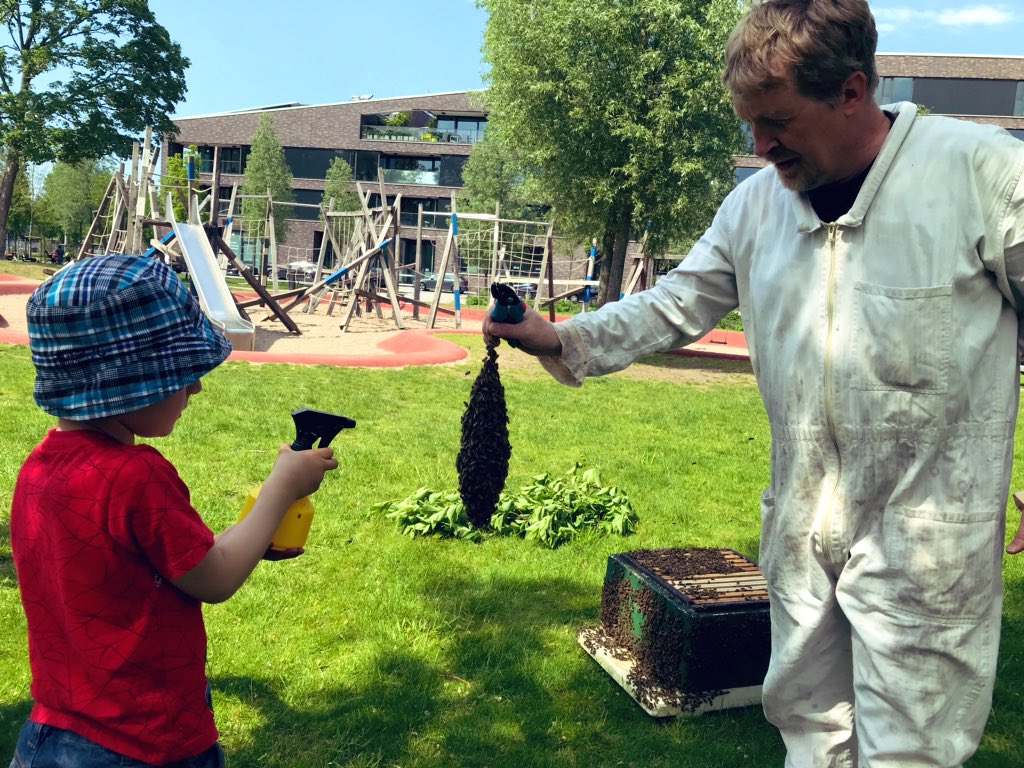 kanal_77's tweet photo. Auf den #Discomove folgte das nächste (gut überstandene) #Abenteuer: Imker Ferdinand hat heute ein Bienenvolk eingesammelt, das im Binnenhafen an einem Baum hing. #Hamburg #Harburg #Tiere #Hafen https://t.co/V5SgAAu3qz