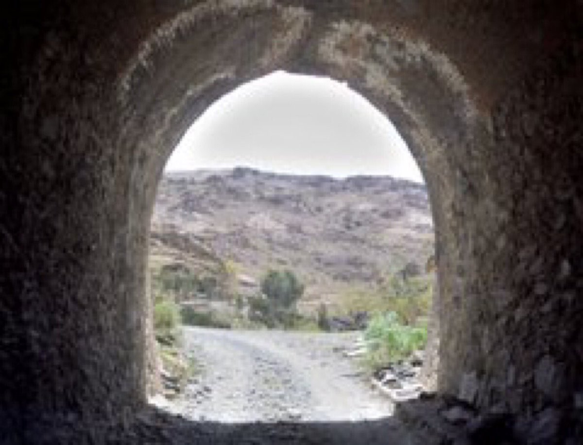 Tweetry_Jabr's tweet photo. #ارتريا  عائد للوطن 
#Eritrea  Homecoming😢 https://t.co/5BIveo5ORl