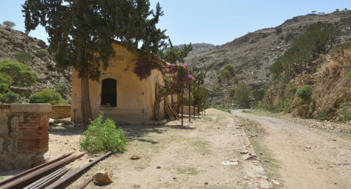 Tweetry_Jabr's tweet photo. #ارتريا  عائد للوطن 
#Eritrea  Homecoming😢 https://t.co/5BIveo5ORl