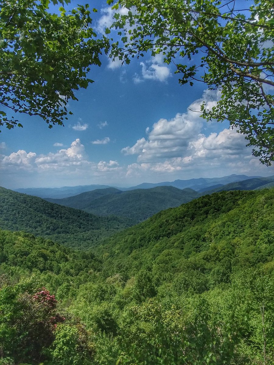 LizzieAnnePerez's tweet image. When you live in Georgia, your long work weeks can end in peaceful weekends. Drive the back roads and never come up empty handed. #pullover #takeapic #NorthGeorgia #Drive #Mountains #Rest #Peaceful #Restore #Refresh #Return #SlowDown #LeadwithCoffee #BP4L @ExploreGeorgia