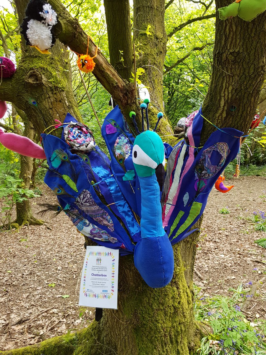 Chatterbox2017's tweet image. Exciting news !!! Chatterbox birds have flown into their tree. 

You've all worked so hard and the tree looks absolutely amazing. 🦚🦜🦉🦆🦢🐦🐧🕊🦅
Please go and visit the woods &amp;amp; see for yourselves and also all the other fantastic trees. 

#Belperwoollenwoods
@belperlatest 🥰