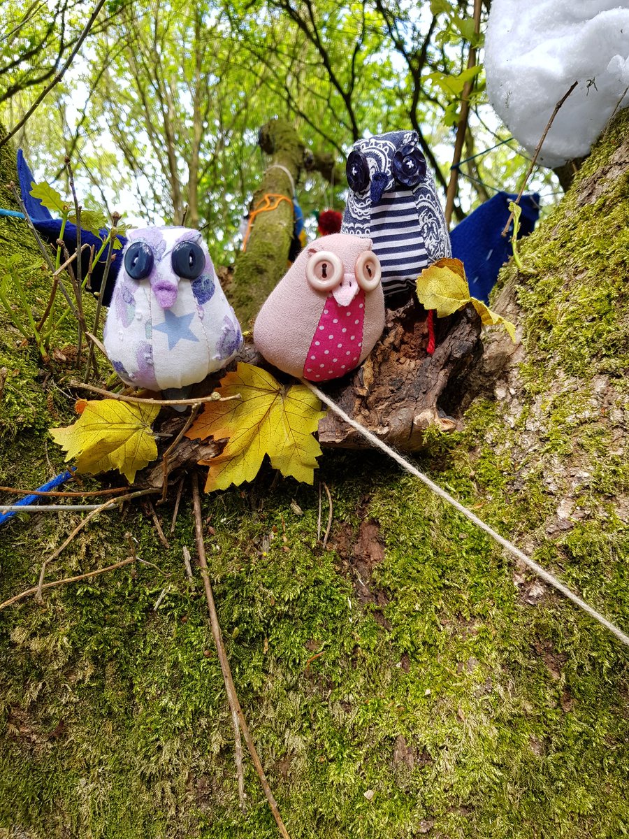 Chatterbox2017's tweet image. Exciting news !!! Chatterbox birds have flown into their tree. 

You've all worked so hard and the tree looks absolutely amazing. 🦚🦜🦉🦆🦢🐦🐧🕊🦅
Please go and visit the woods &amp;amp; see for yourselves and also all the other fantastic trees. 

#Belperwoollenwoods
@belperlatest 🥰